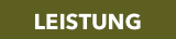 Leistung