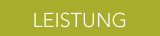 Leistung